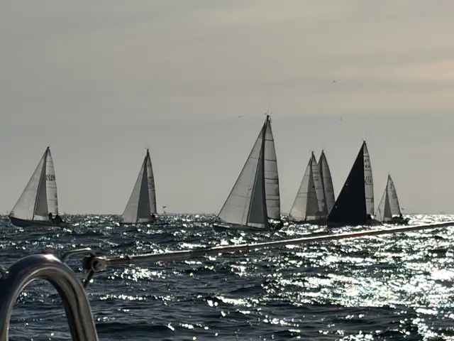 La flotte de la CCPV au nord de l'île d'Yeu