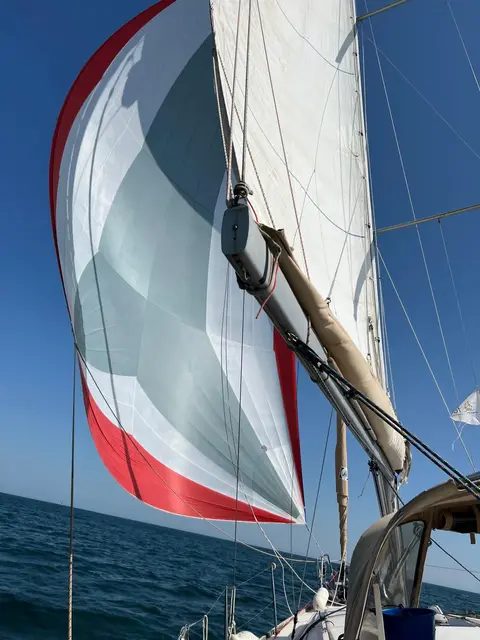 Le spi vu du bord